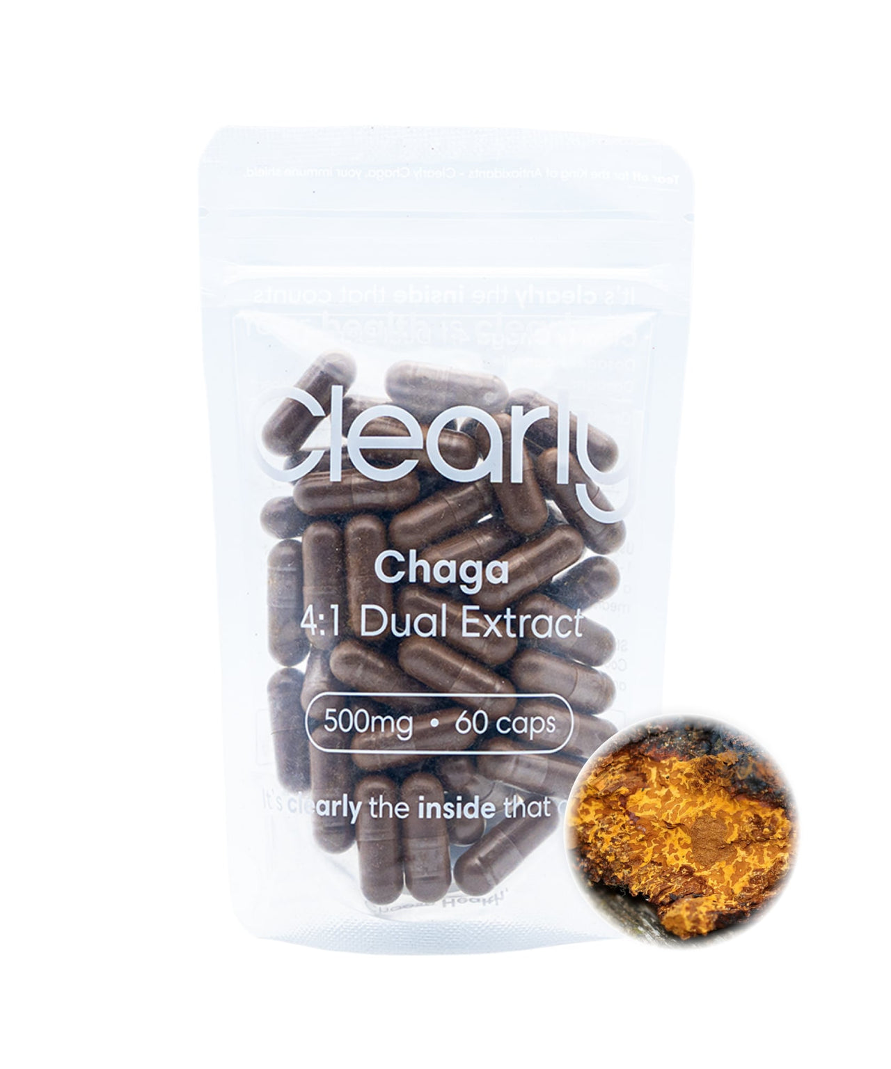 Chaga Extract