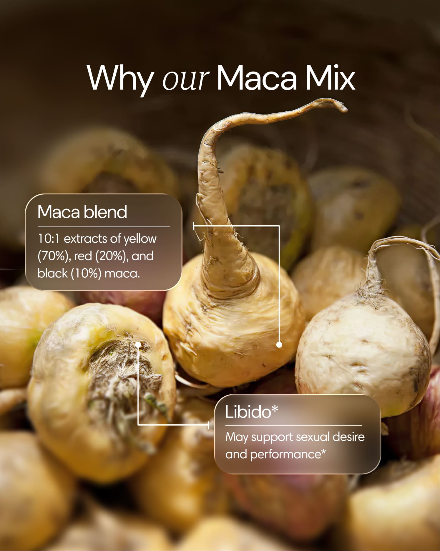 Clearly Maca Mix capsules showing the supplement ingredients in a clear container with capsules and natural ingredients.